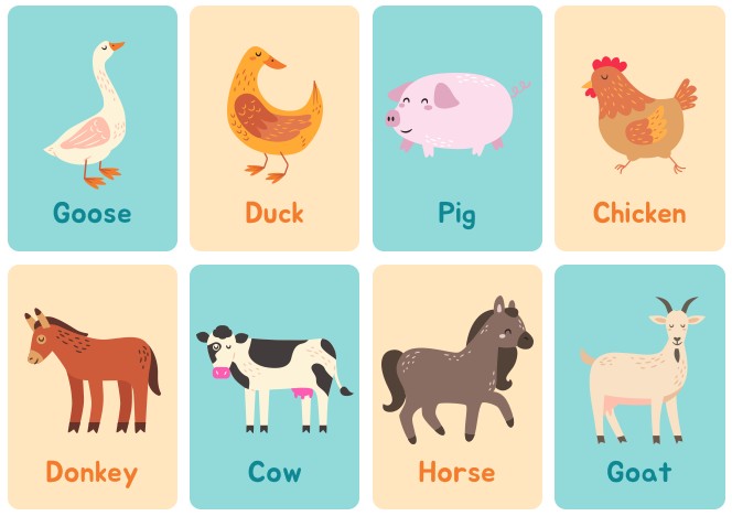 Farm Animal Flash Card