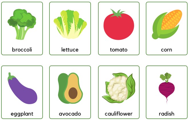 vegetables flashcards printable
