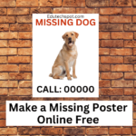 Make a Missing Poster Online Free