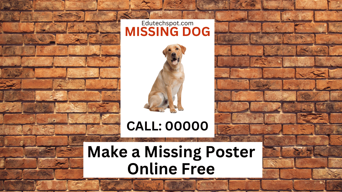 Make a Missing Poster Online Free