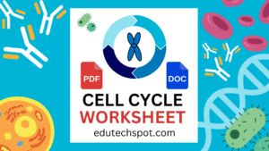 the cell cycle coloring worksheet
