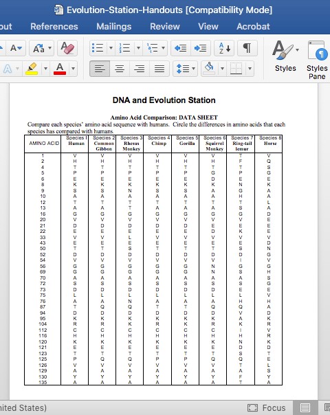 DNA evolution station handout editable