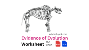 Evidence of Evolution Worksheet