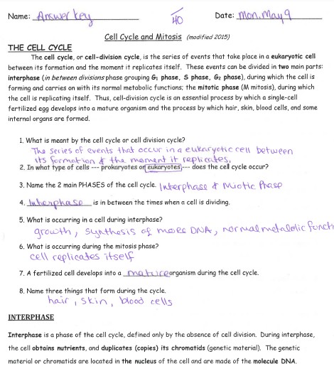 cell cycle short answer exam and coloring