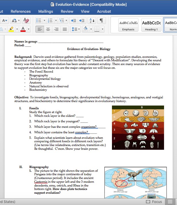 Evidence Of Evolution Worksheet Edutechspot