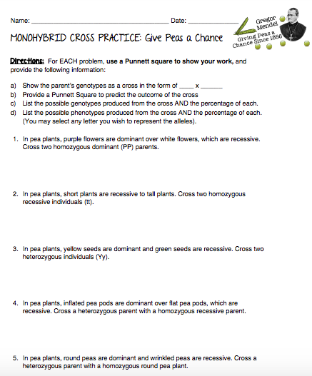 monohybrid cross practice: give peas a chance worksheet answer key