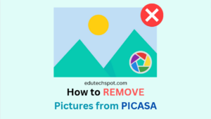 how to remove pictures from picasa in two ways