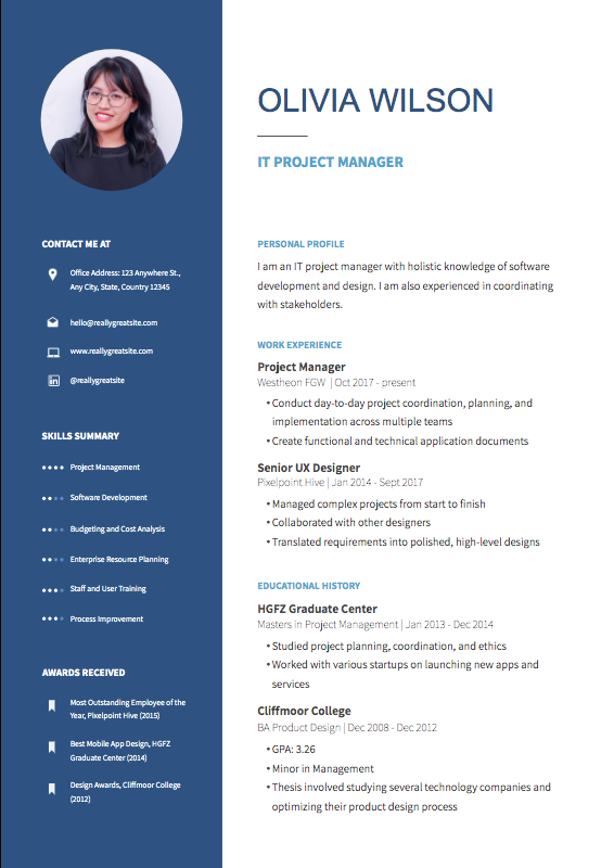 IT professional resume Template two column